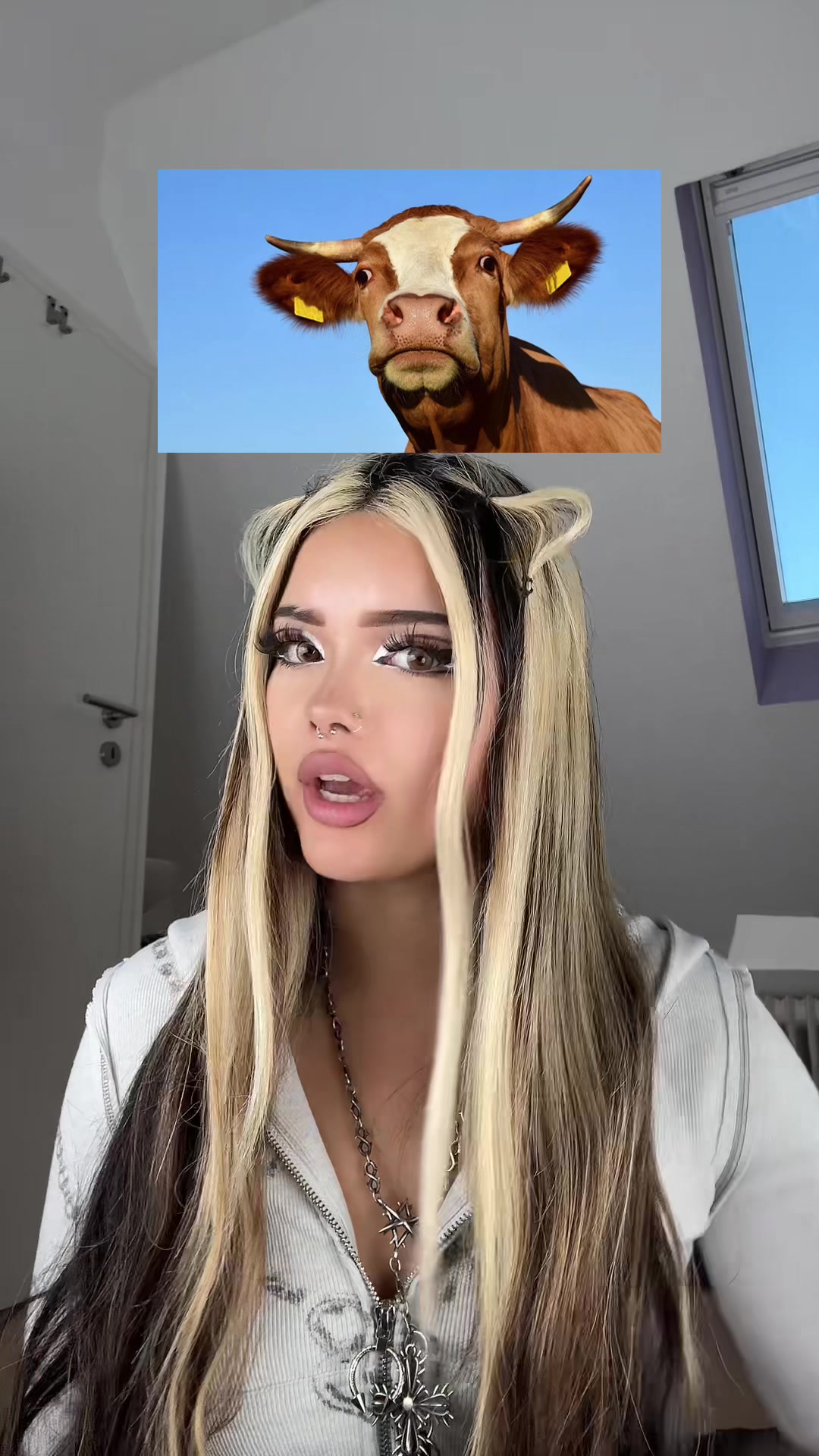 @Sheilicheese