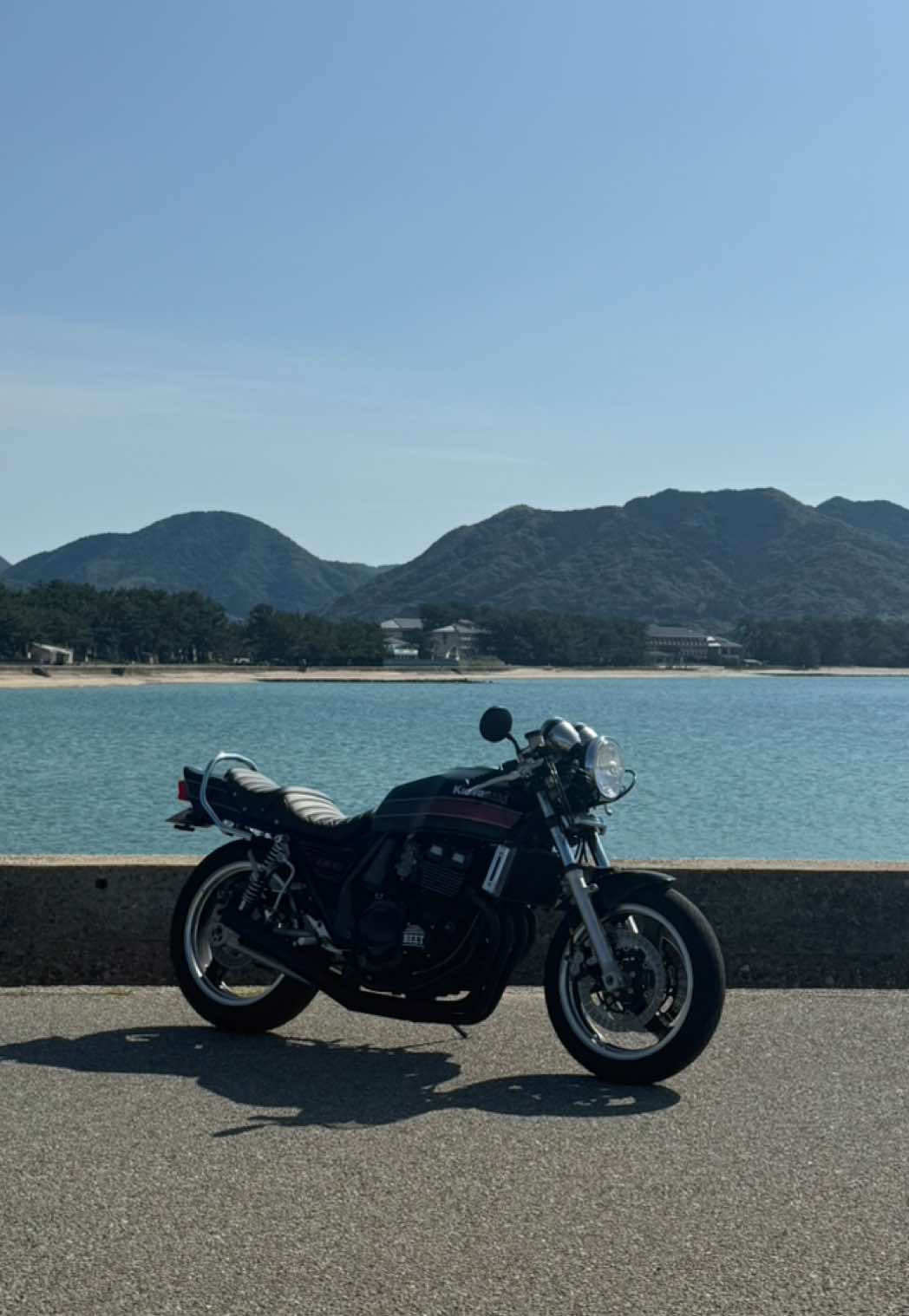 @樹