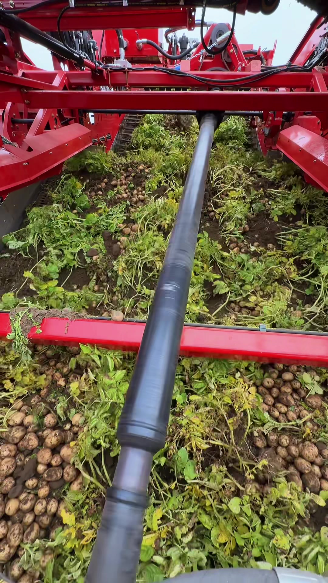 @American_farm
