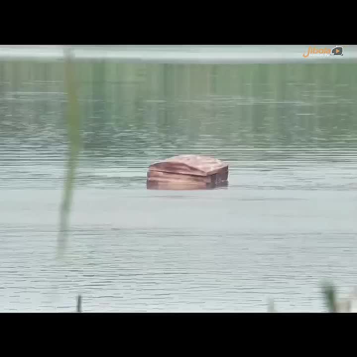 @MR RAY 11TV