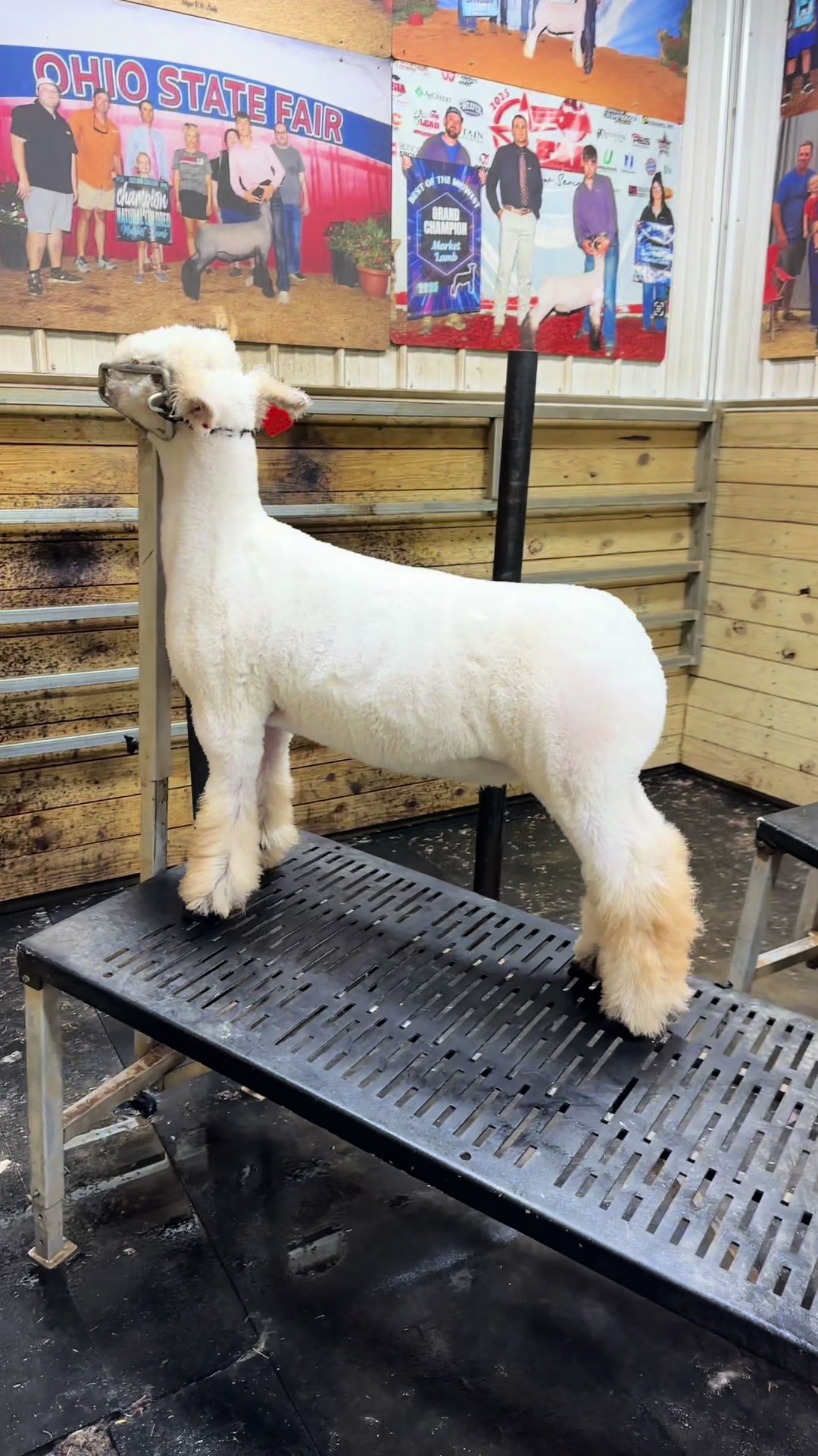 @Craft Livestock 2.0