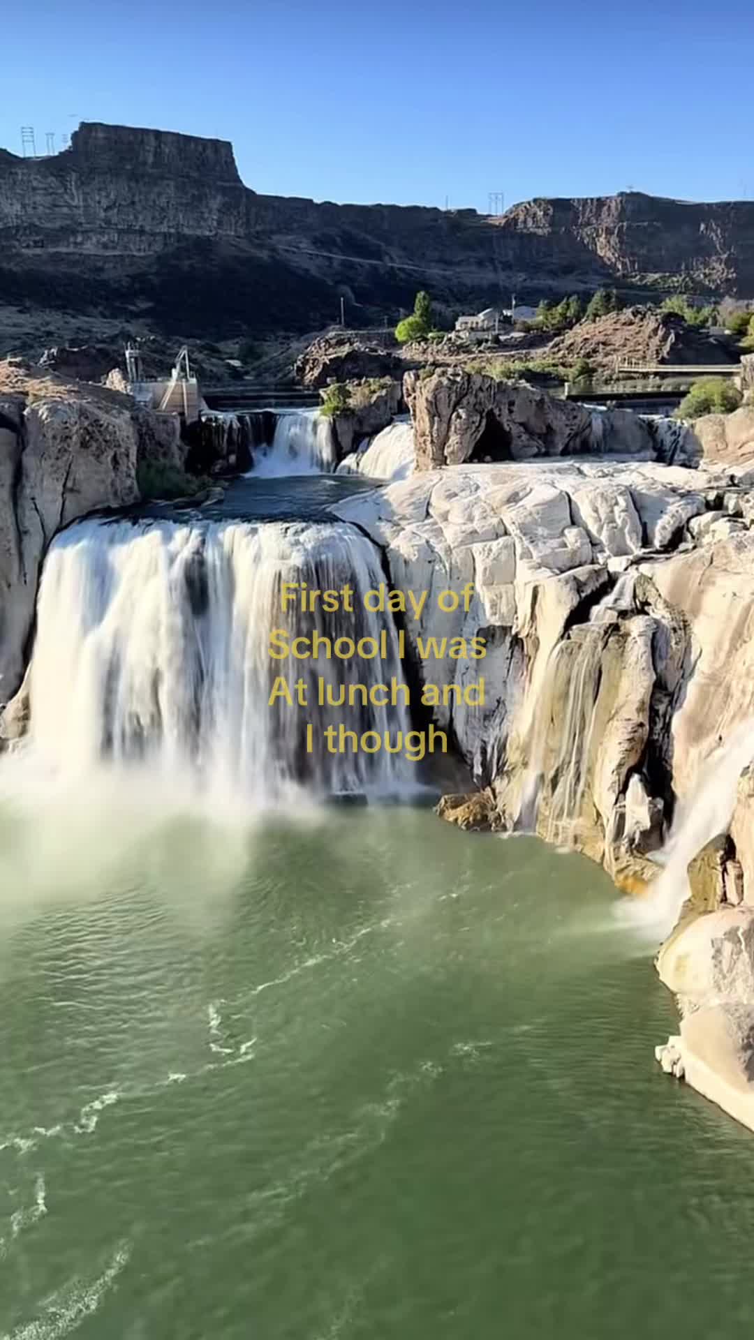 @vinsucx
