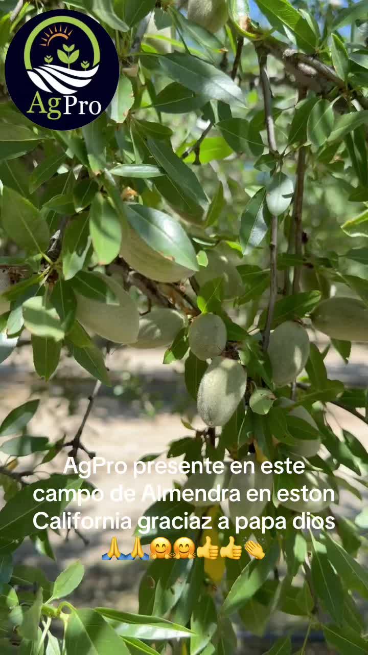 @Piedad Ayala
