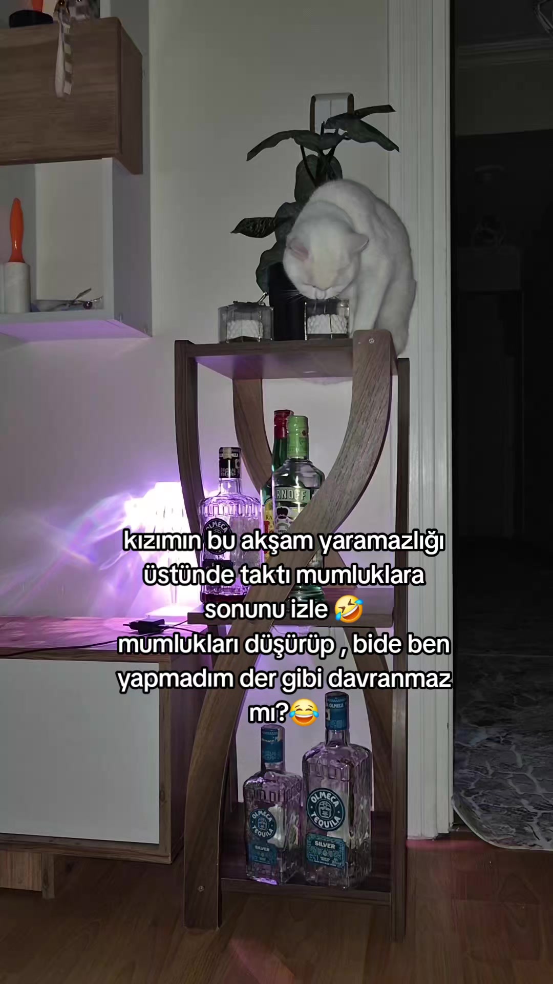 @Gökyüzüm💫