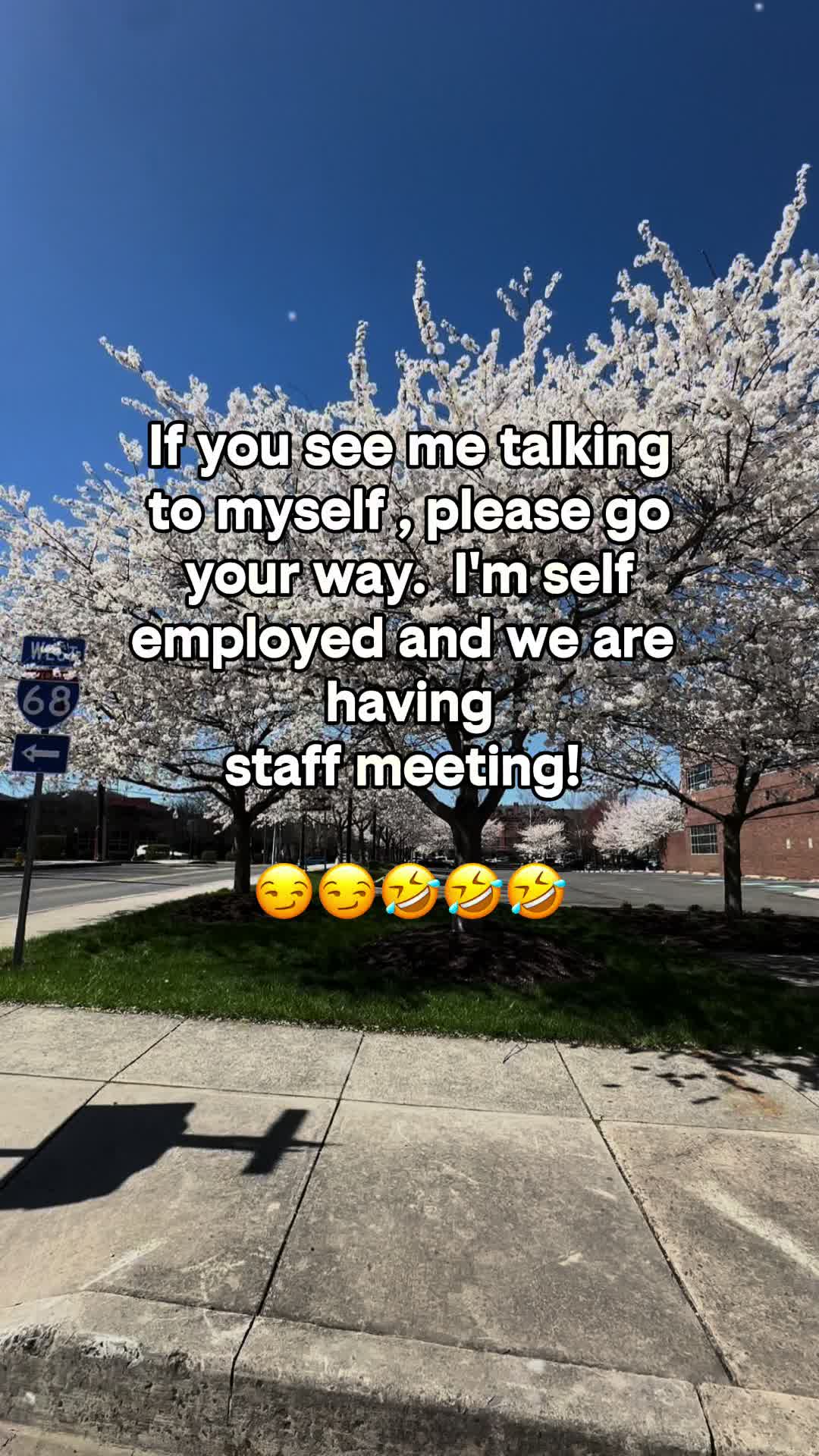 @Erin ❌G7 🐈&zwj;⬛