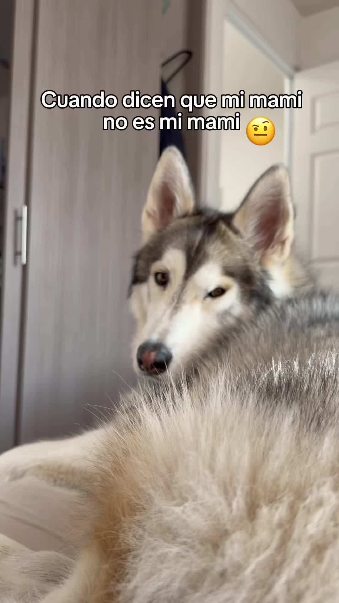 @KZ