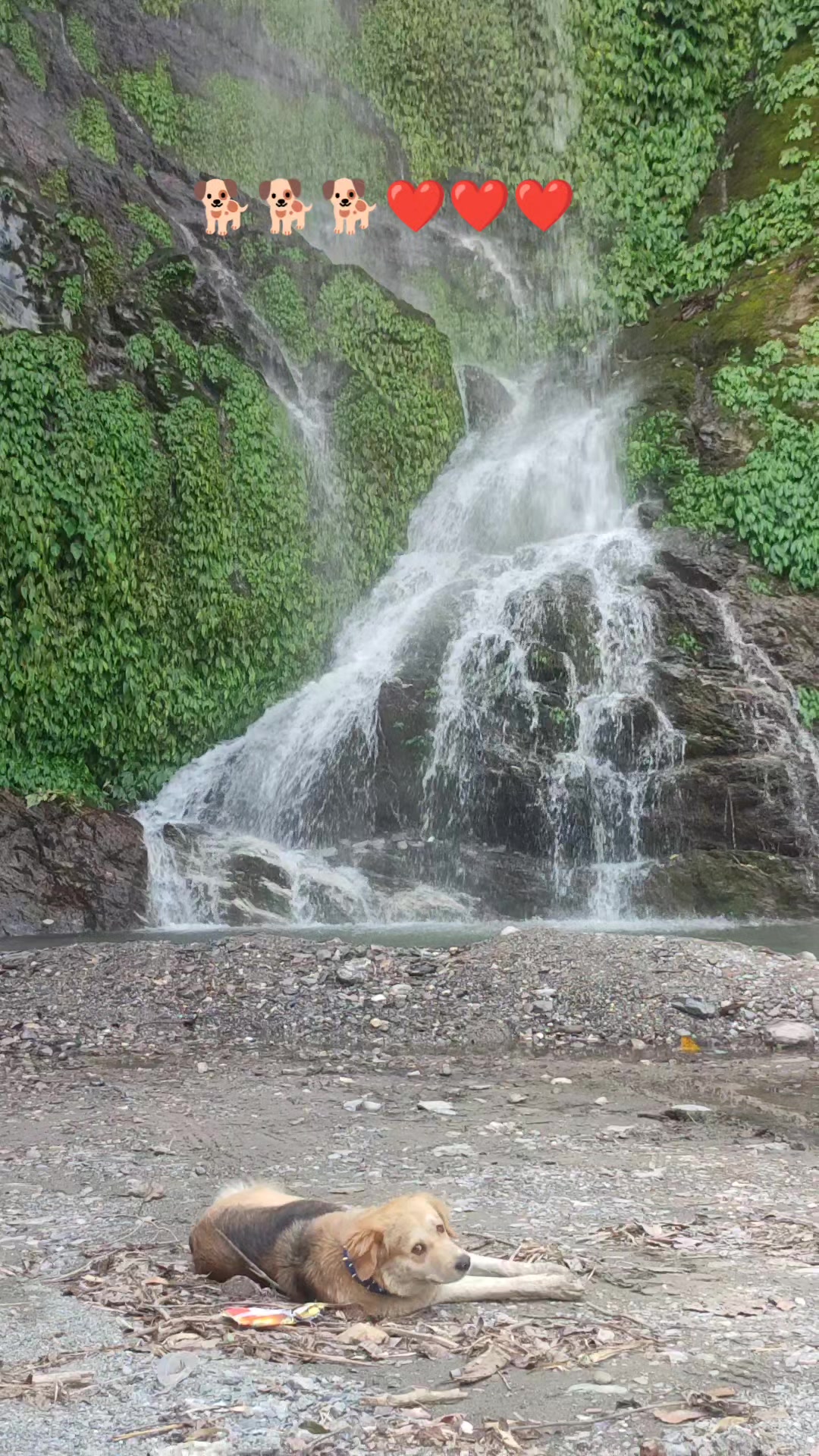 @Ridam Moktan