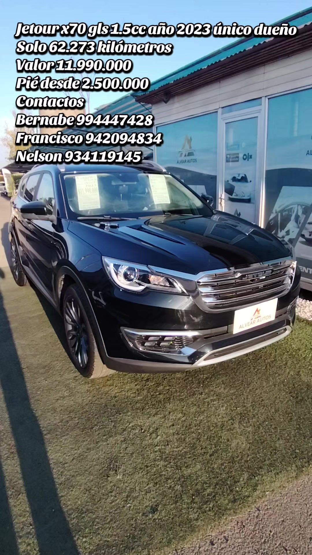 @www.alvearautos.cl