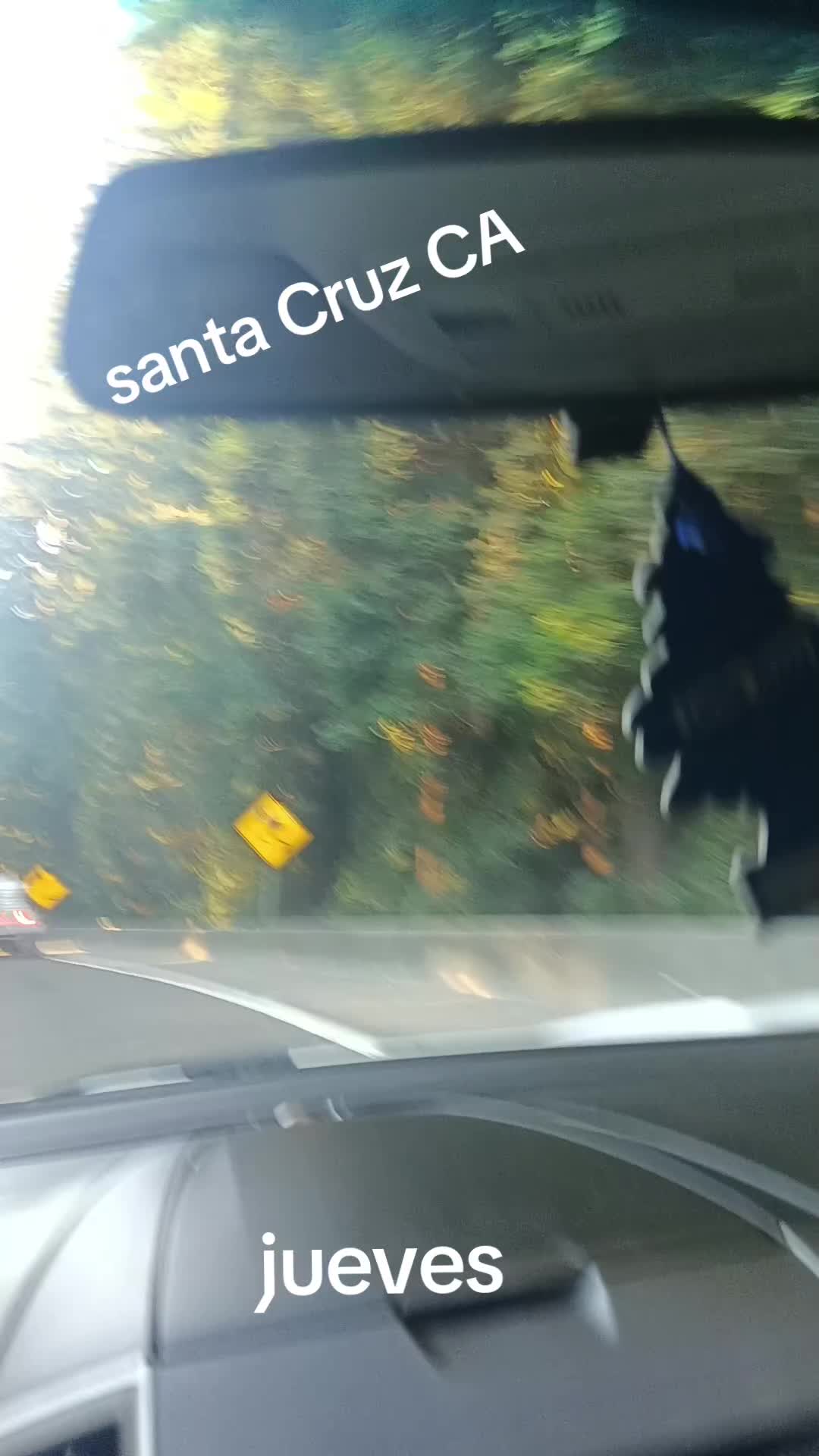 @🦁EL KURIA 🇲🇽 🦁SUKIS 69 🦁