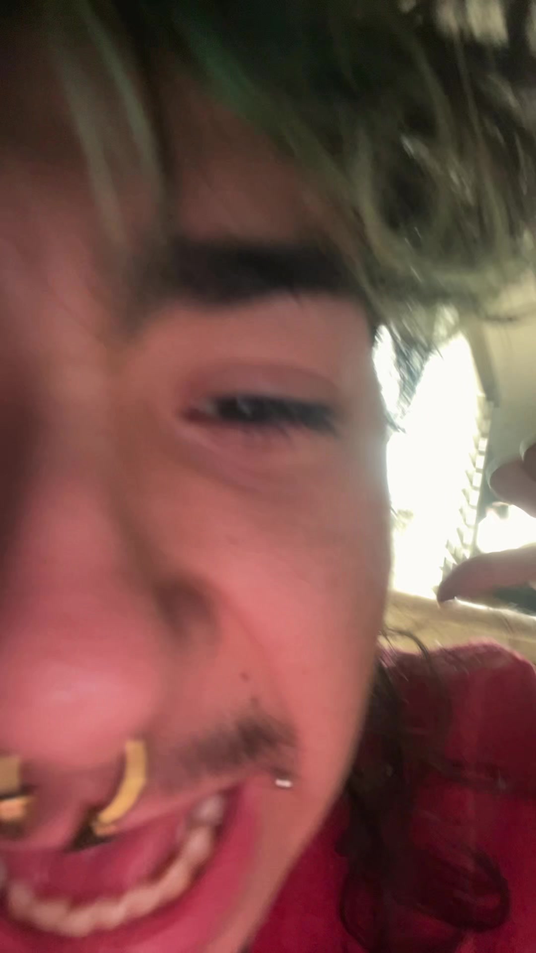 @anselll