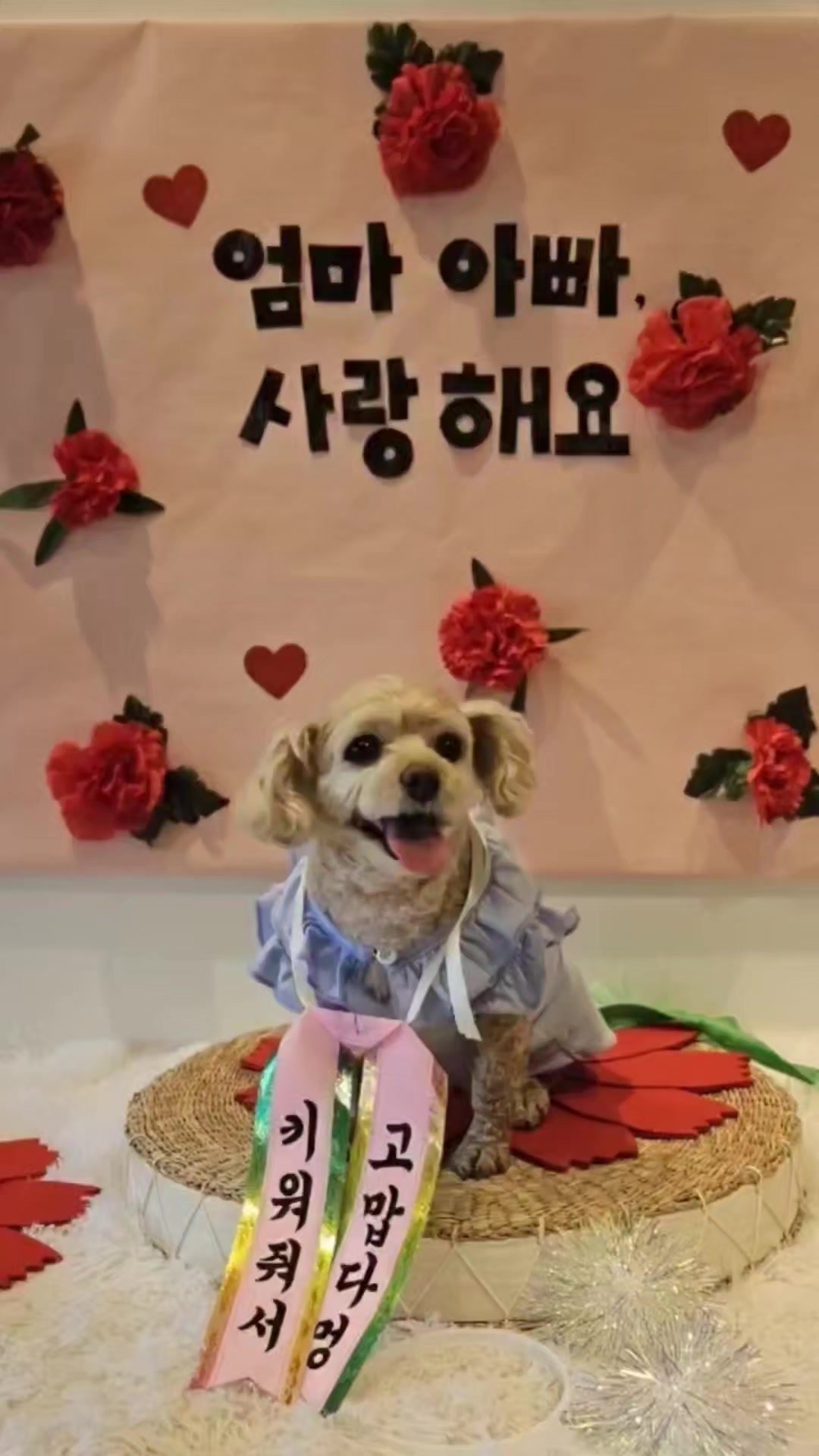 @욱사마TV