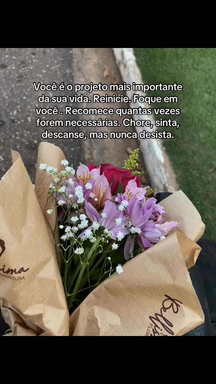 @Elaine Alvis🦋