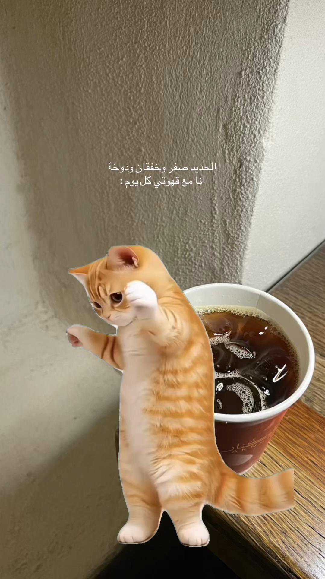 @شَـمـس | shams