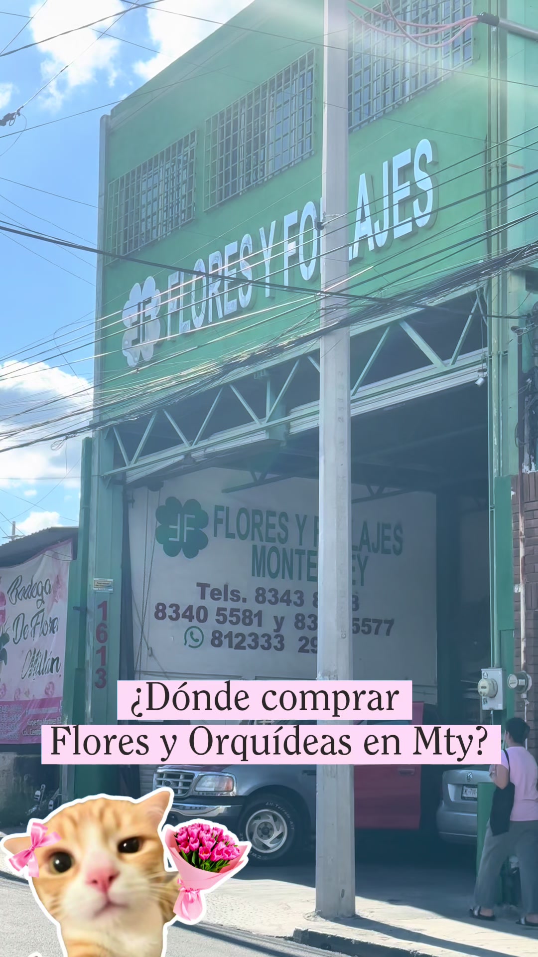 @lachicadelcentro