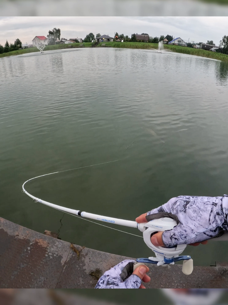 @Колька Рыбак👦🎣
