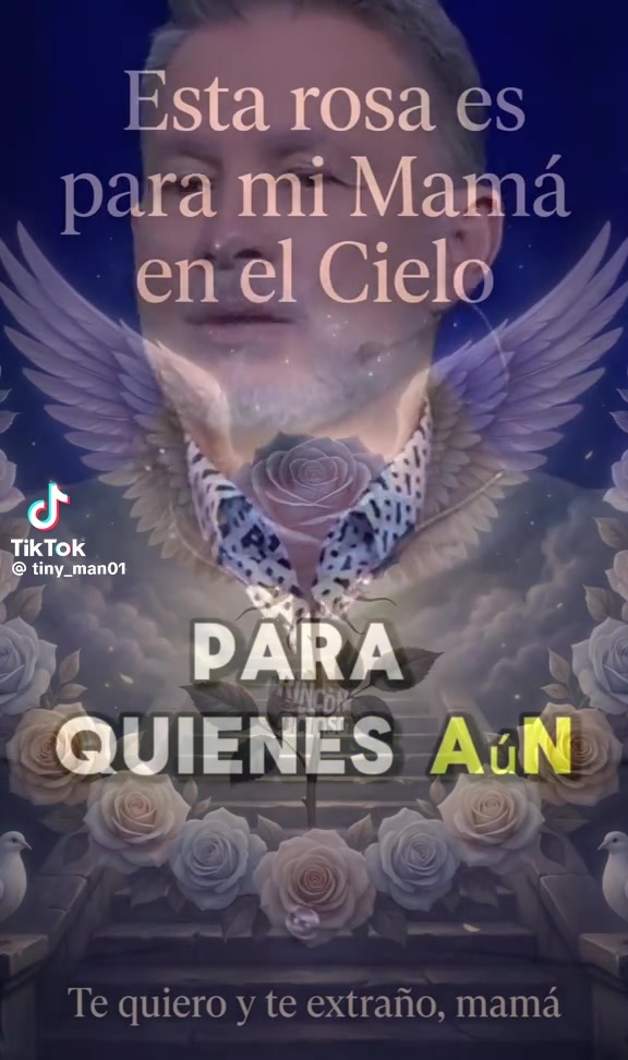 @Salom&eacute; Mej&iacute;a