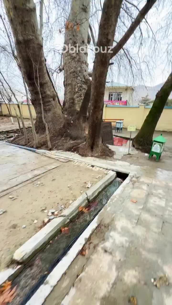 @oblakouzb