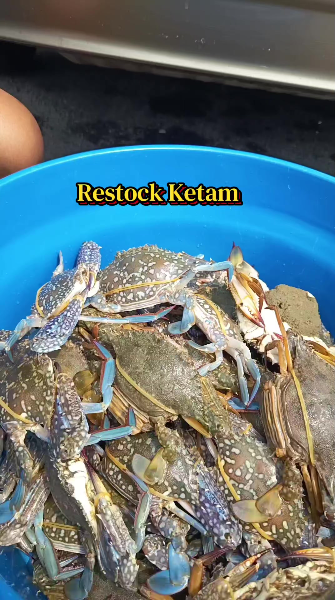 @PakCik Shellout