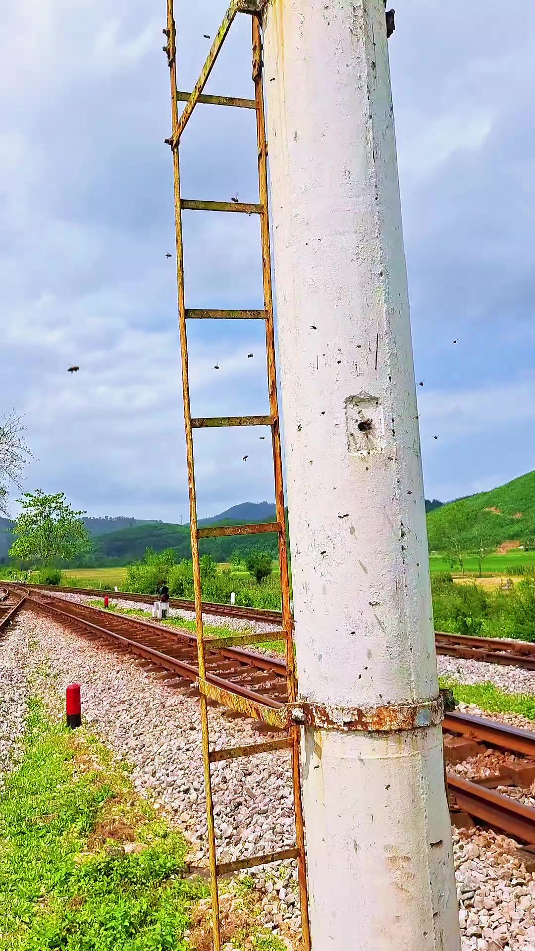 @Kết Nối Đam Mê Ong