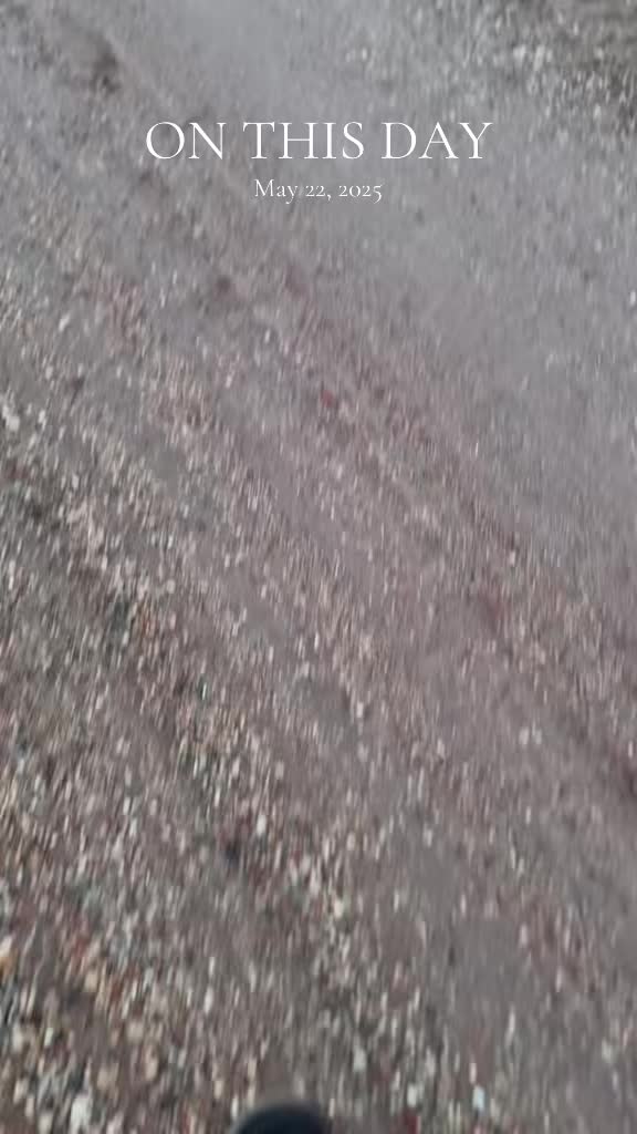 @Snowy_7.3