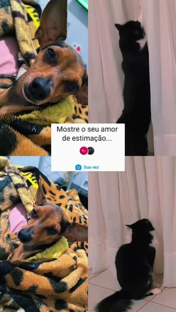@Clecia Sousa