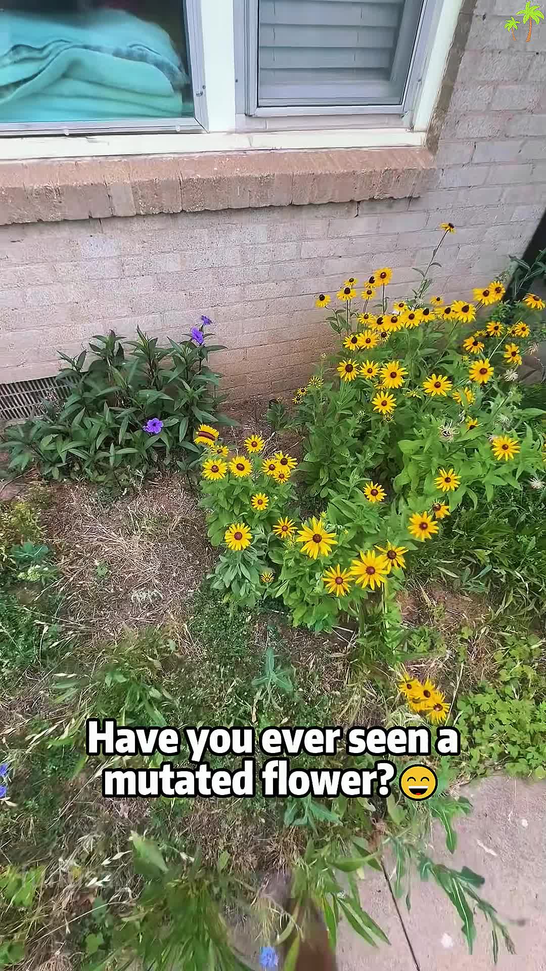 @stateslaughofficial
