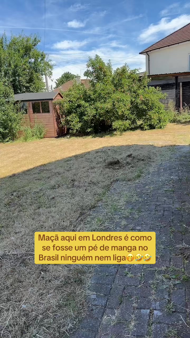 @Fabi a fênix 🐦🔥
