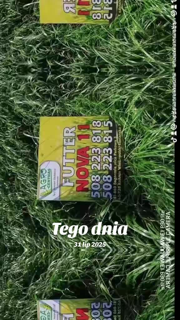@WOLTMANNNASIONA