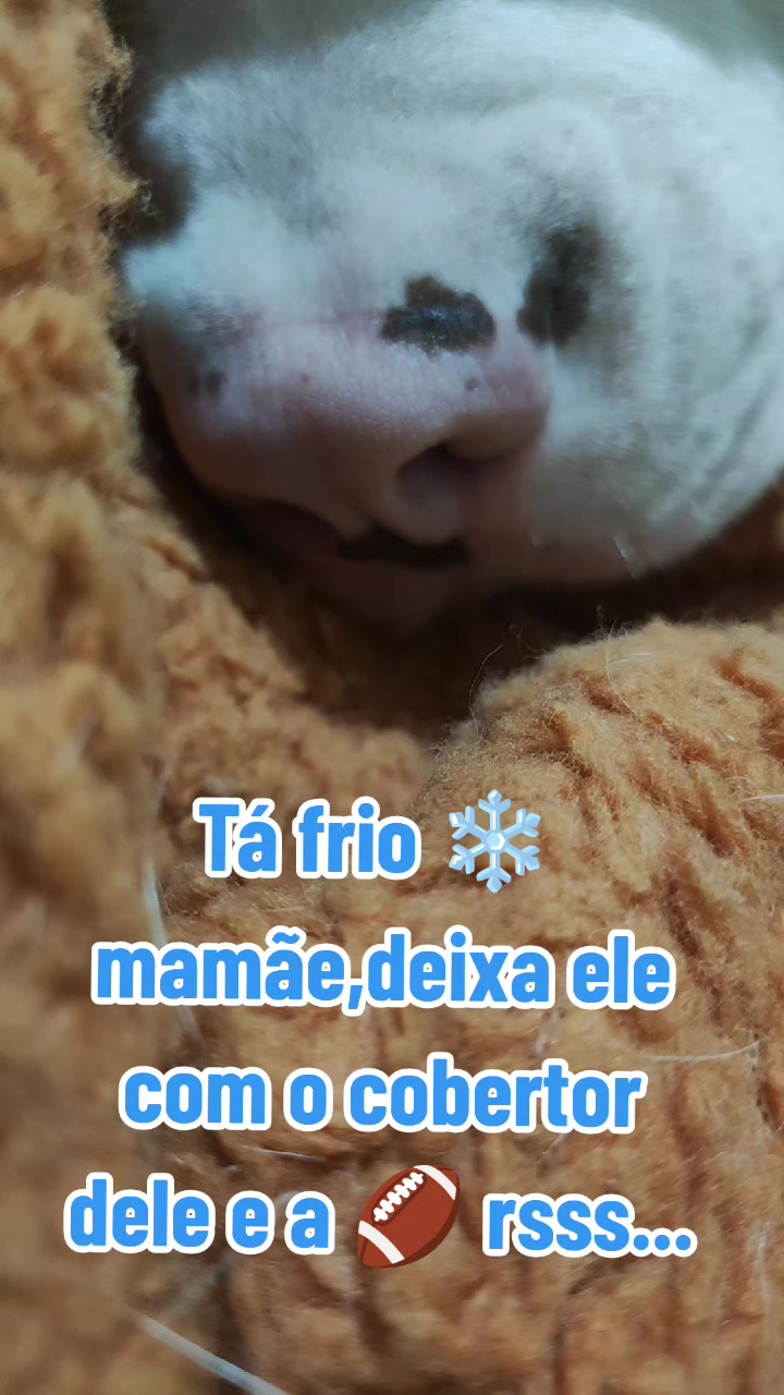 @MichelleAmaral18