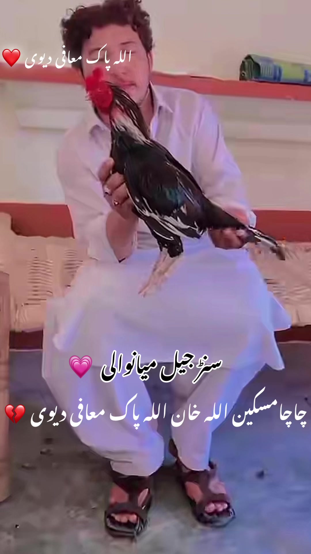@حسناتی ملگرا &hellip;&hellip;..🥷🏼