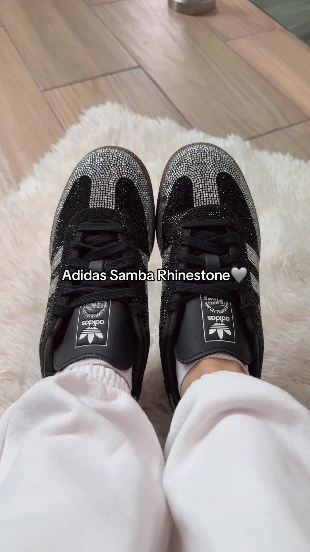 @absolute.mx_