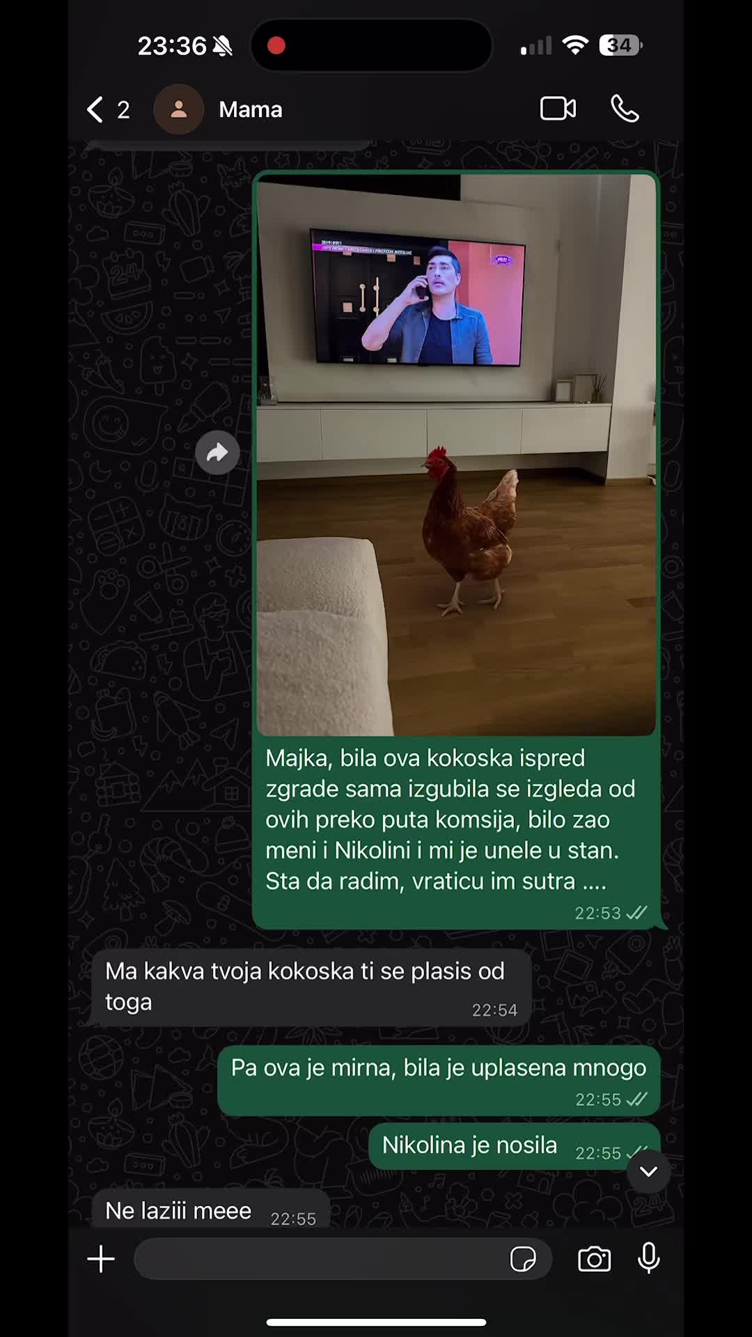 @Tijana Milentijević