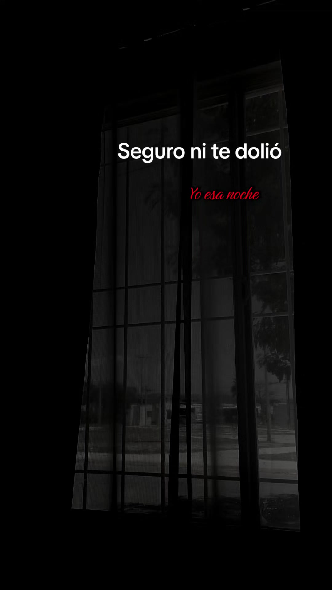 @vecky