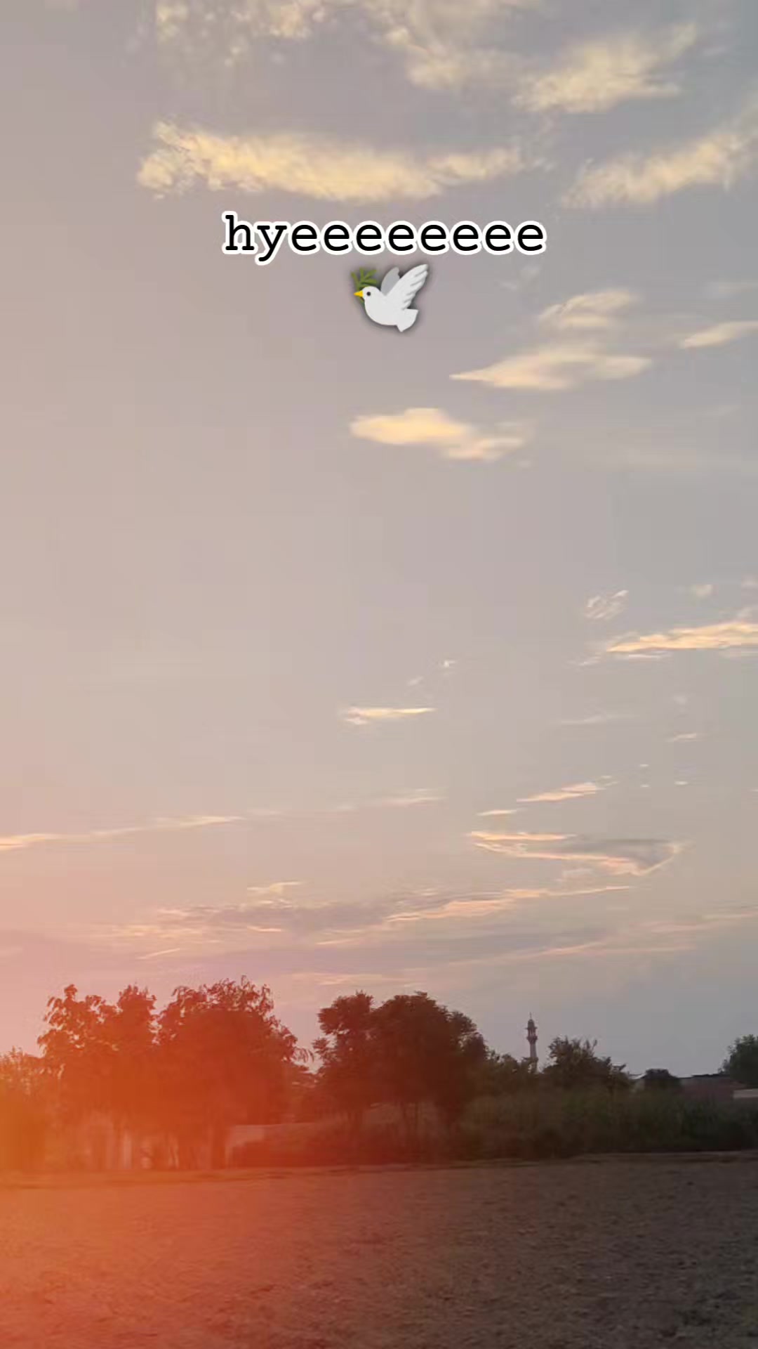 @᭄☞𝔅𝔦𝔩𝔞𝔩 🫀..🚩🥷
