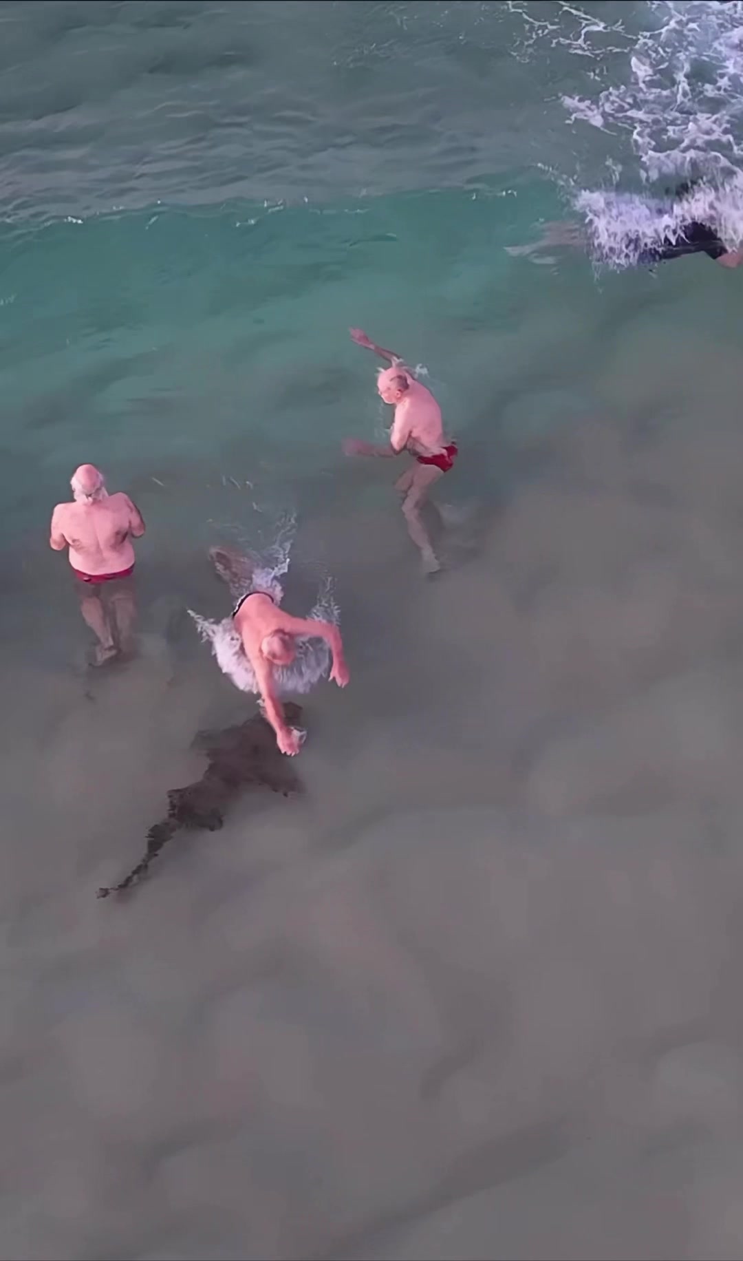 @Dronesharkapp