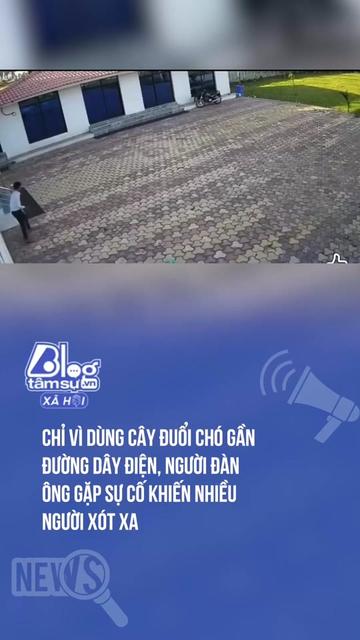 @Tin X&atilde; Hội - Blog T&acirc;m Sự
