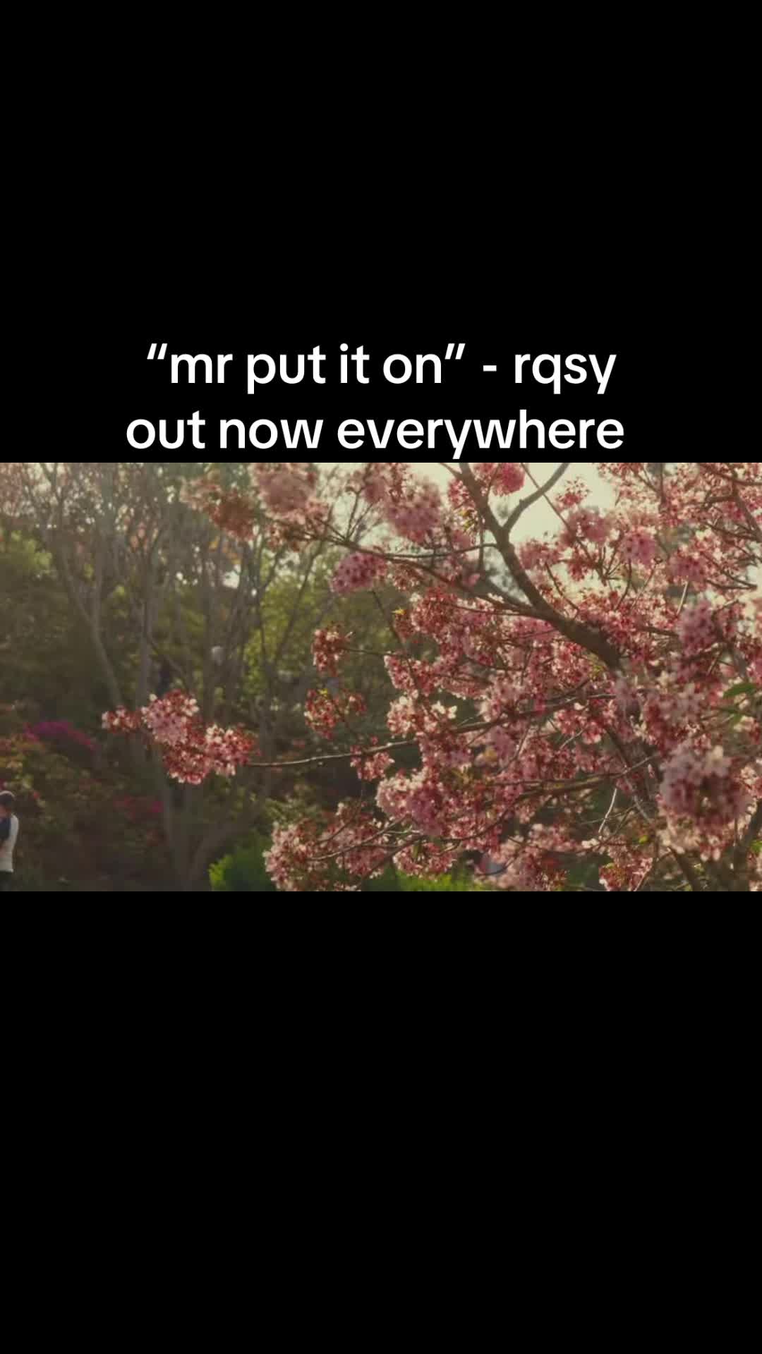 @rqsy