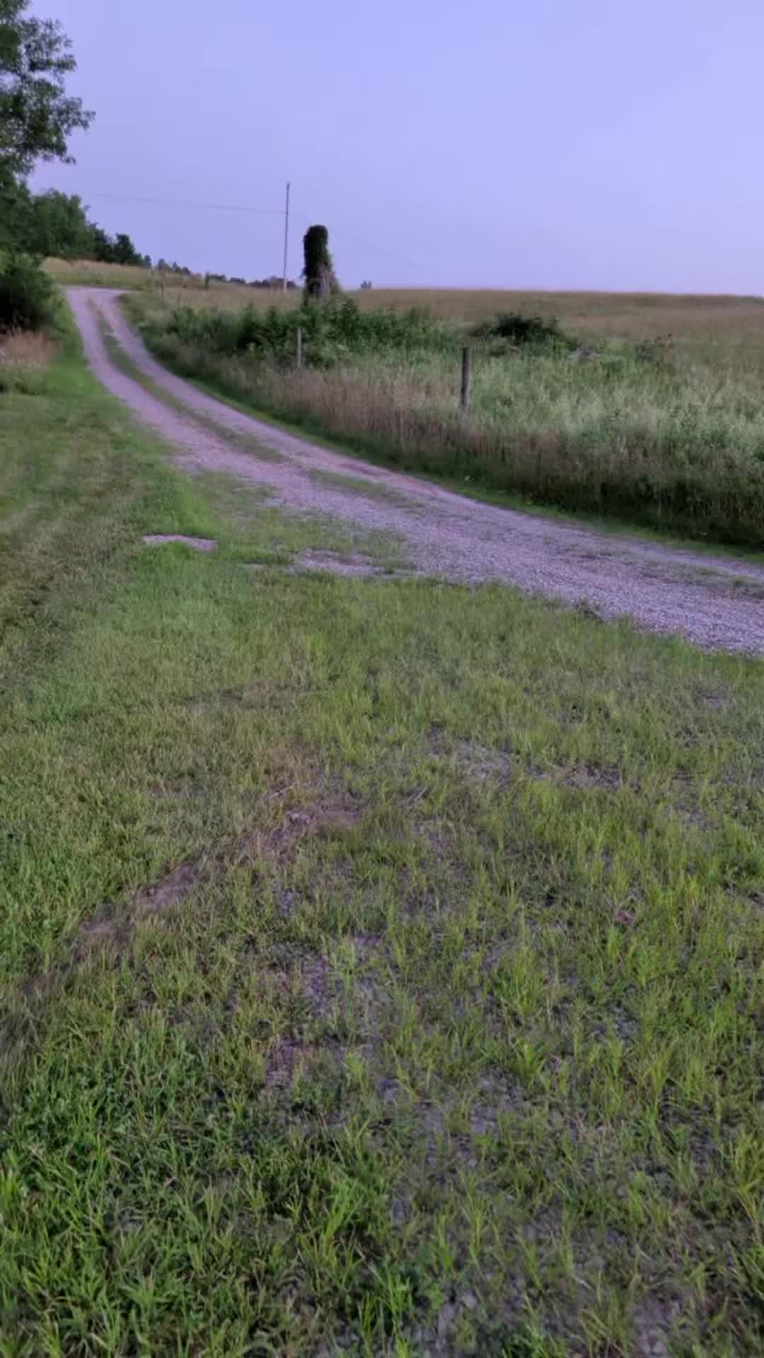 @that 5.9 Cummins