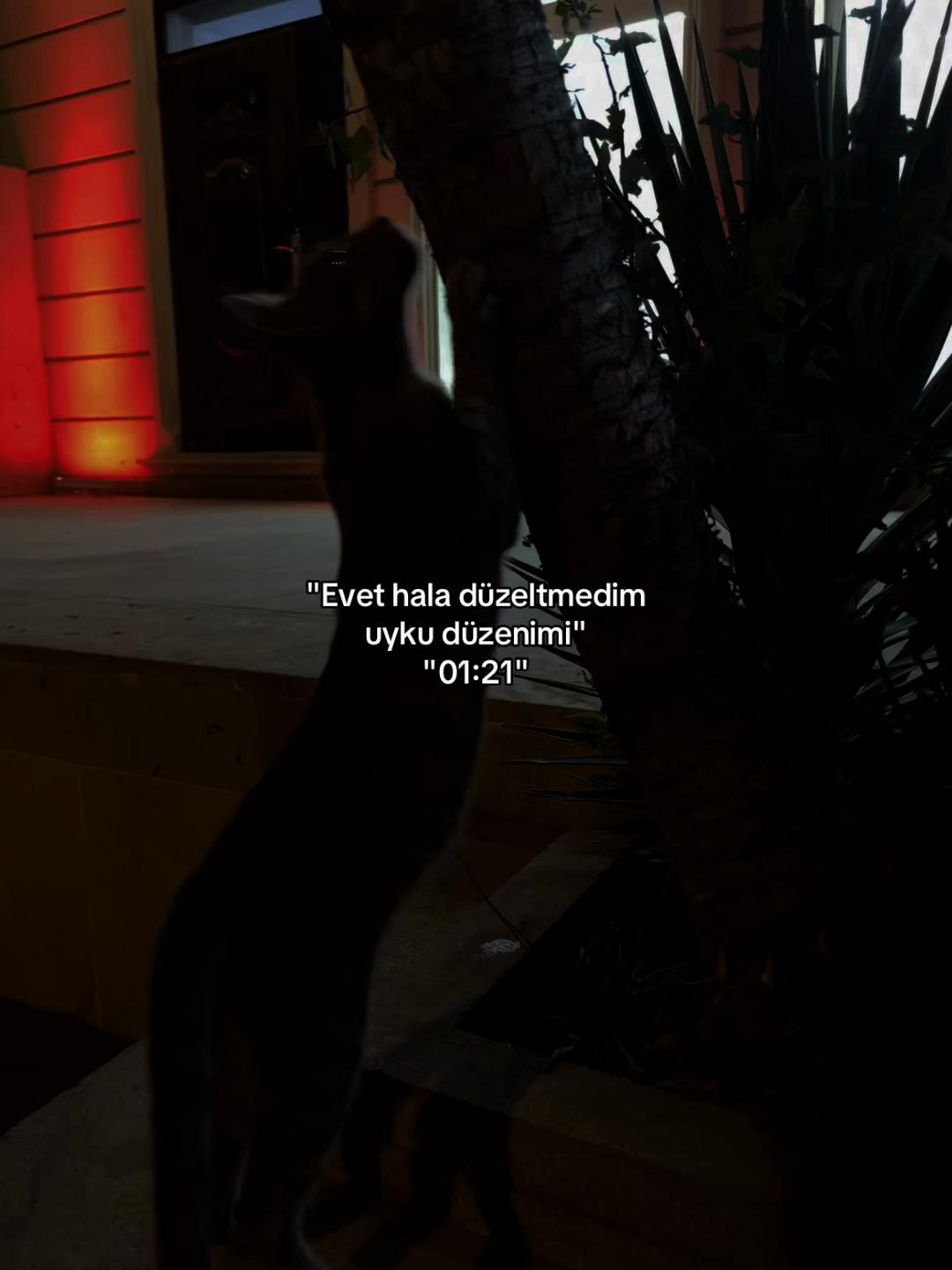 @M.