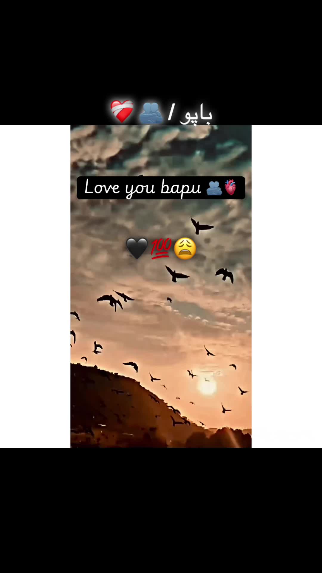 @صاحب 🍁🏴&zwj;☠️🚩