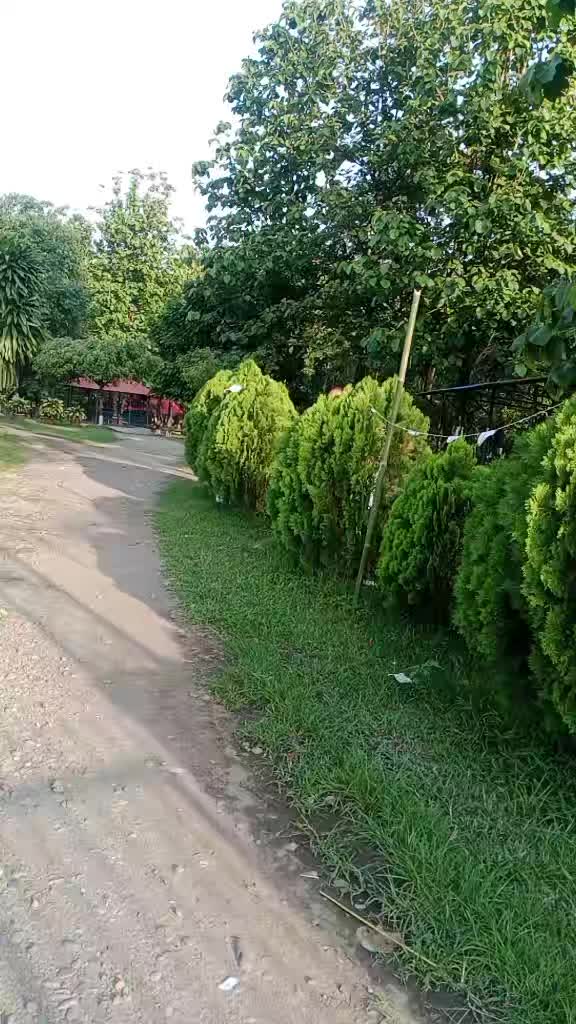 @mina.tamang121