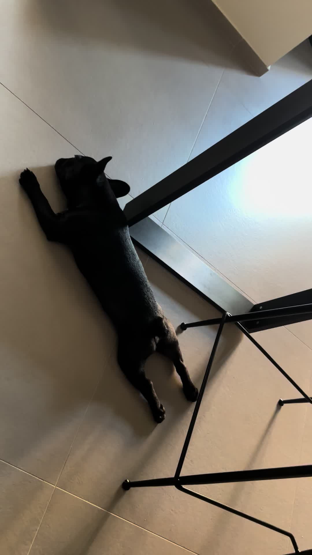 @Bullo_malù