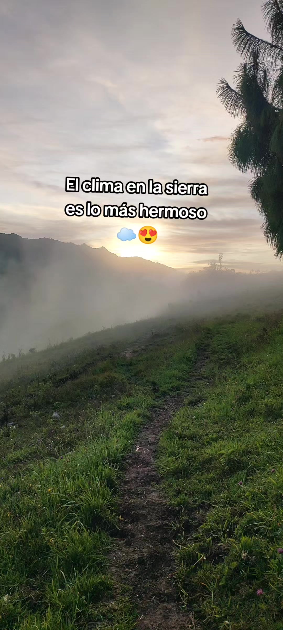 @jhami🍓🩷Te sigue☺️💋