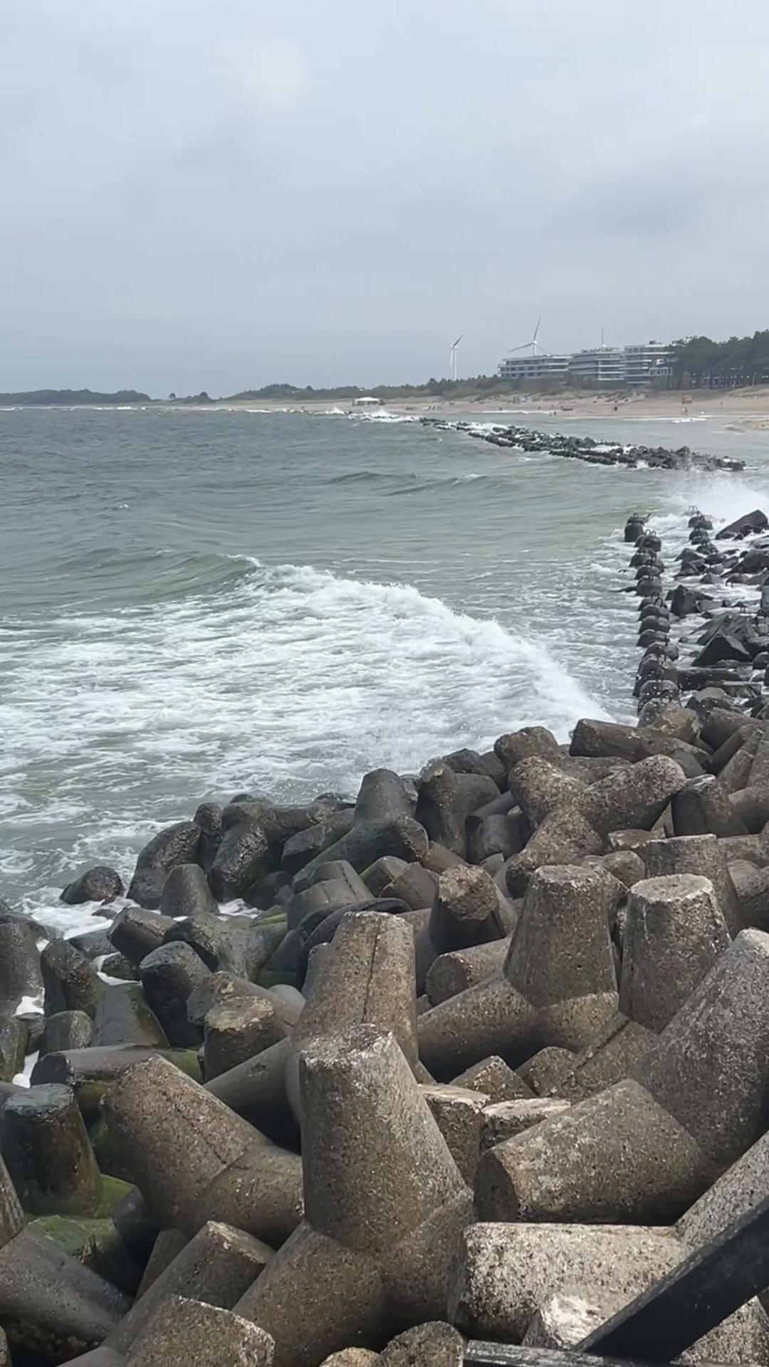 @🐶🐱 Babat 🐕🐈&zwj;⬛