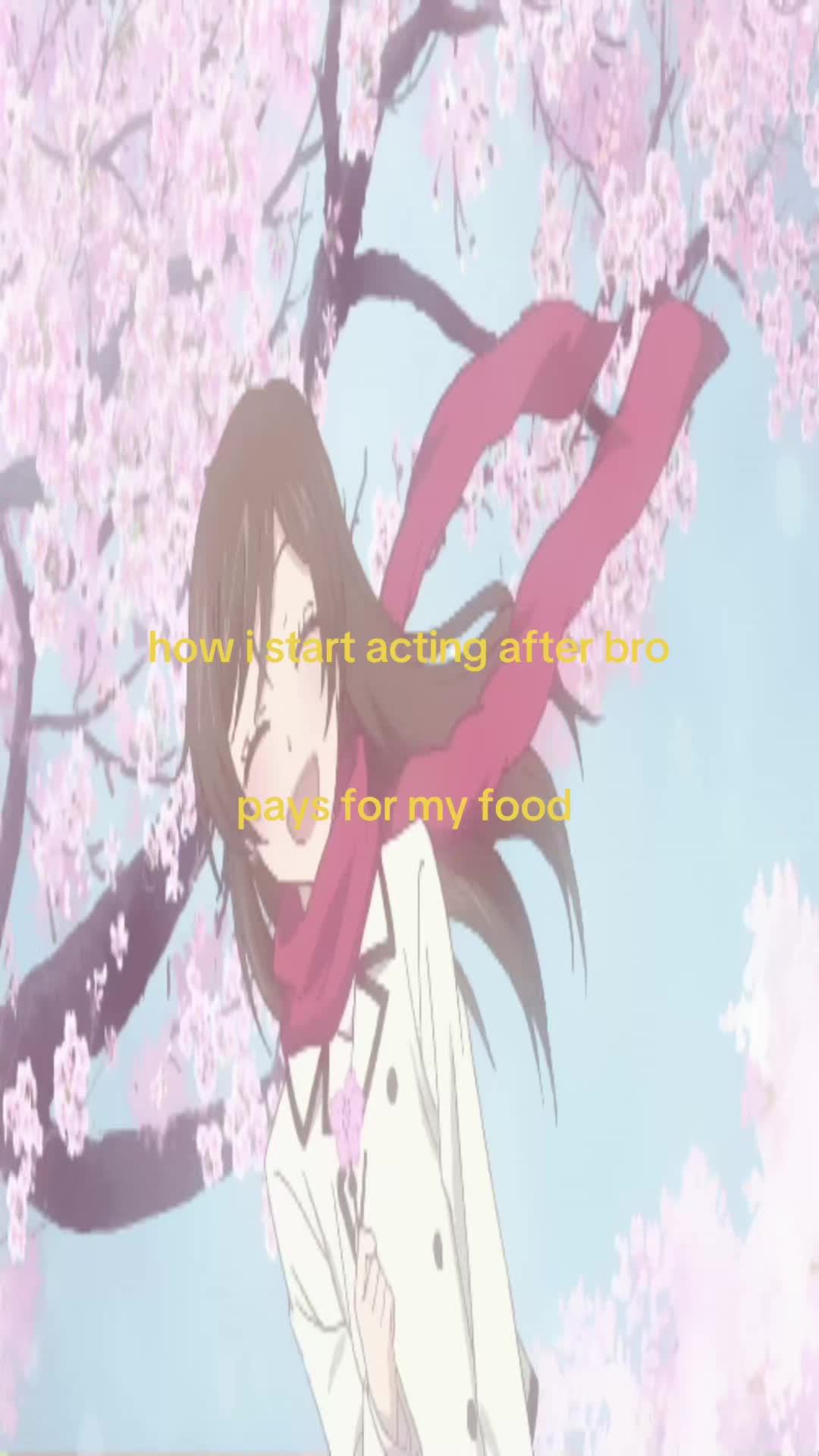 @kitty!