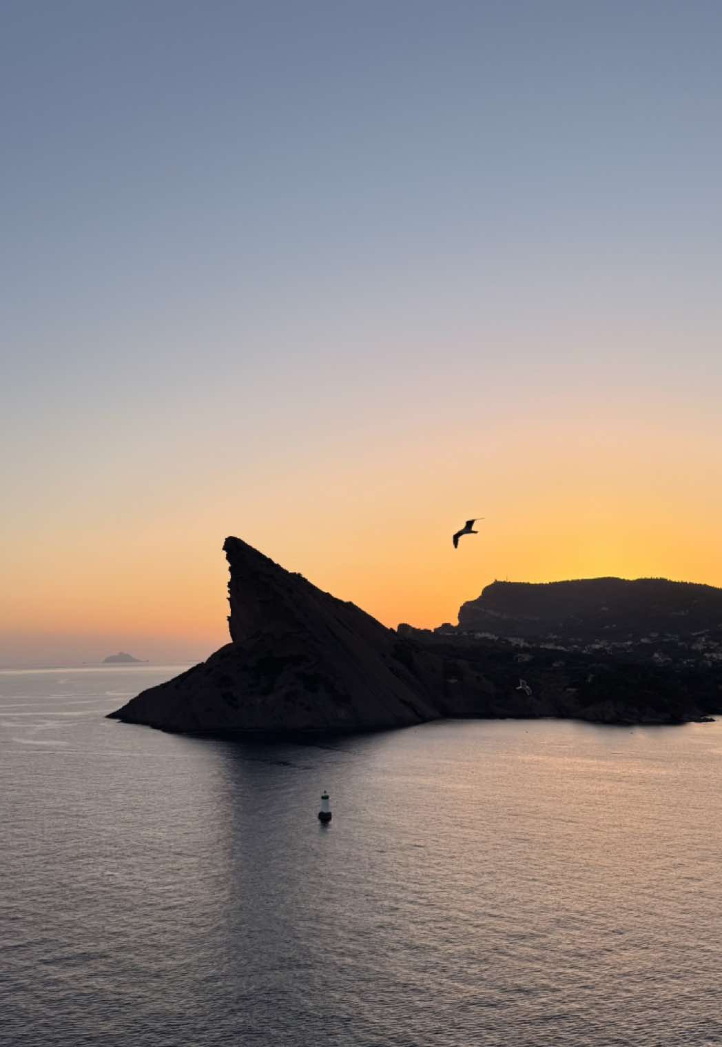 @Smehlicouz 🦜