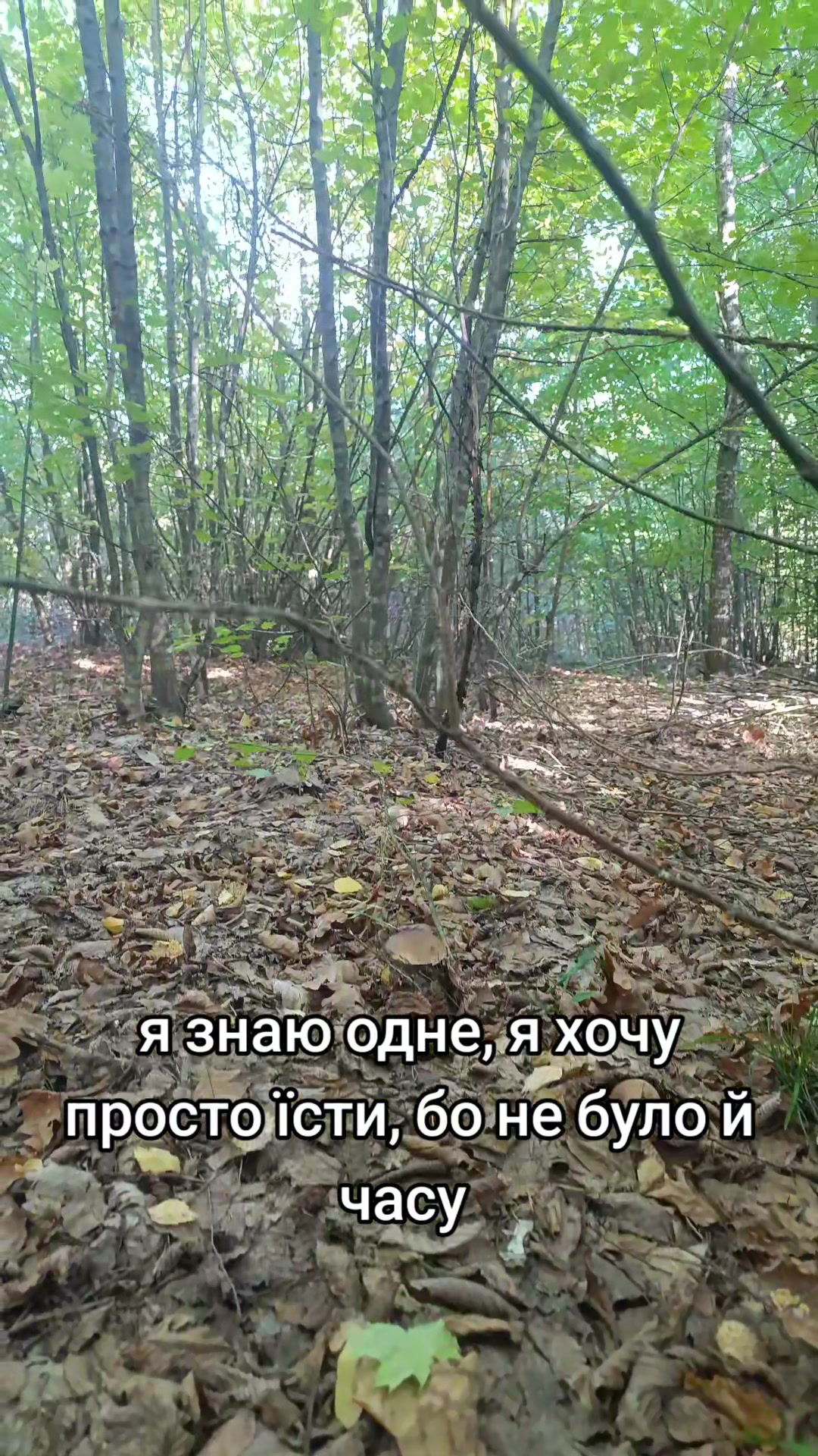 @Намистинки від Людмилки