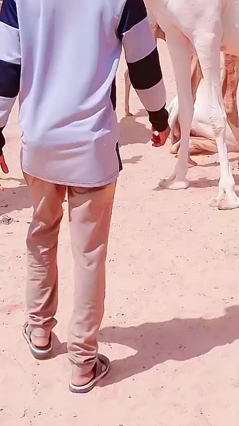 @Ustadh Abdihakim Bashir Noor