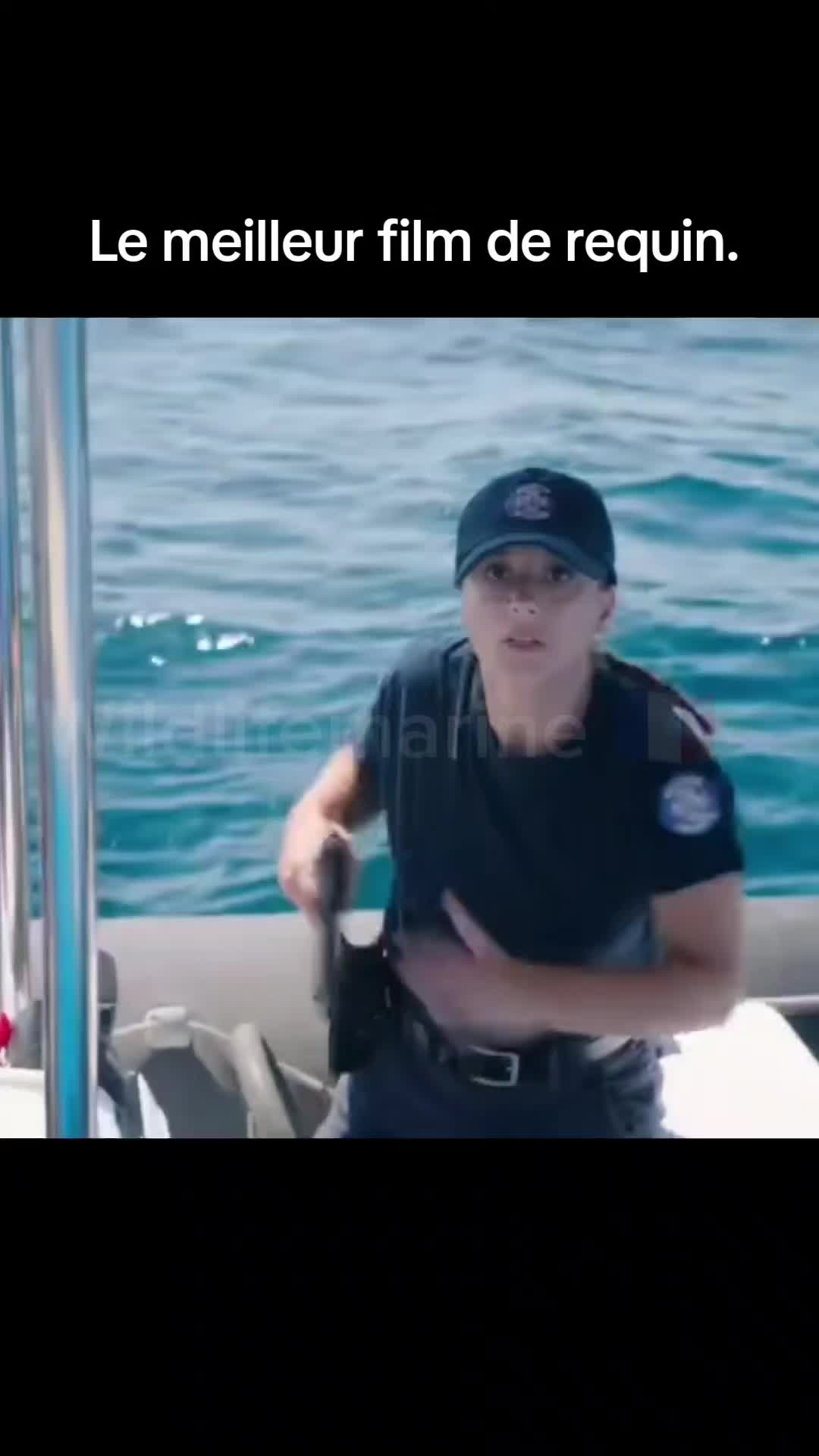 @wildlifemarine 🇲🇫