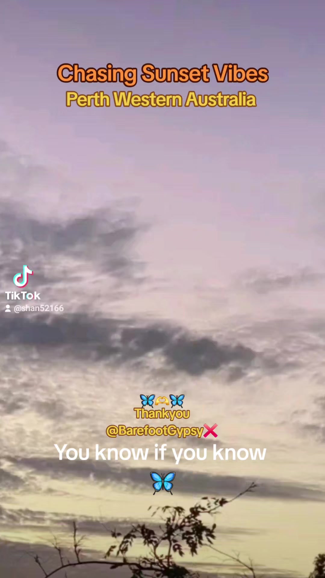 @🦋Shanon🦋